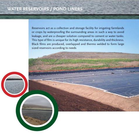 Pondliners.JPG