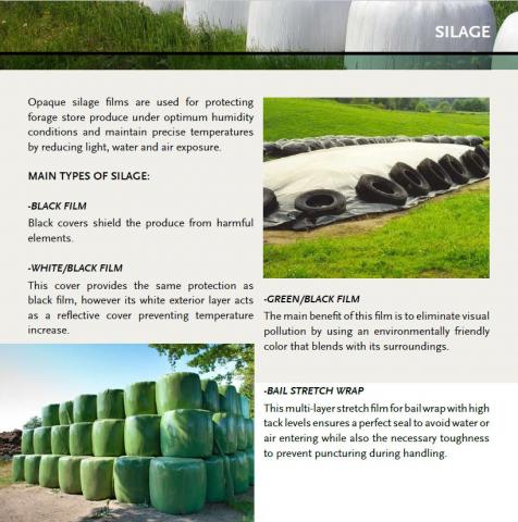 Silage.JPG